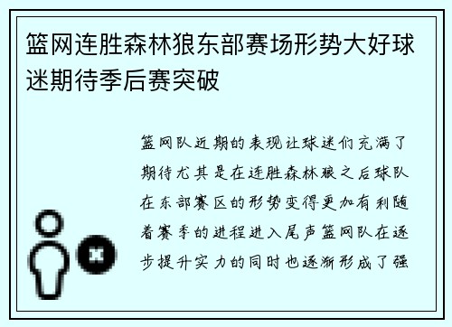 篮网连胜森林狼东部赛场形势大好球迷期待季后赛突破